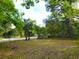 Lush lot with mature trees and palms creating a private and serene atmosphere at 4210 Garden Ln, Tampa, FL 33610