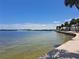 Relaxing waterfront view with palm trees, a paved walkway, and tranquil water at 4851 W Gandy Blvd # B12L23, Tampa, FL 33611