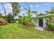 Lush backyard featuring mature banana trees and tidy lawn at 5961 36Th Ave N, St Petersburg, FL 33710