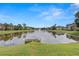 Peaceful pond view with a fountain, surrounded by lush green landscaping and inviting residences at 7001 Interbay Blvd # 242, Tampa, FL 33616