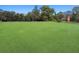 Expansive golf green, lush with mature trees, promises a serene and picturesque golfing experience at 12101 Meadowbrook Ln, Hudson, FL 34667