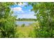 Scenic view of a tranquil pond surrounded by lush greenery and blue sky at 12244 Fairlawn Dr, Riverview, FL 33579
