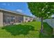 Lush backyard featuring a screened lanai, vibrant green lawn and privacy fence at 12382 Shining Willow St, Riverview, FL 33579