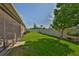 Lush backyard featuring a screened lanai, vibrant green lawn and privacy fence at 12382 Shining Willow St, Riverview, FL 33579