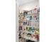 Well-organized pantry featuring multiple shelves for ample storage of food and household items at 14716 Crescent Rock Dr, Wimauma, FL 33598