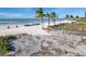 Picturesque beach view with palm trees, dunes, and ocean at 15000 Gulf Blvd # 407, Madeira Beach, FL 33708