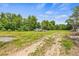Large vacant lot ready for new construction or enjoyment and many mature shade trees at 1607 Bell Shoals Rd, Brandon, FL 33511