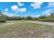 Open, grassy area, perfect for outdoor activities or enjoying nature at 17023 Alderman Turner Rd, Wimauma, FL 33598