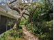 Backyard stone path leads from enclosed porch through lush foliage and tropical trees at 210 Kingsway Dr, Temple Terrace, FL 33617