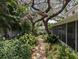 Stone path surrounded by lush foliage leads to the back side of the house and enclosed porch at 210 Kingsway Dr, Temple Terrace, FL 33617