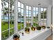Beautiful view from window shows backyard, landscaping and waterfront at 224 Harbor View Ln, Largo, FL 33770