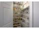 Walk-in pantry filled with neatly organized shelves holding an array of food items at 27528 Water Ash Dr, Wesley Chapel, FL 33544