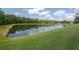 Scenic view of a pond with lush green surroundings under a blue sky with white clouds at 27528 Water Ash Dr, Wesley Chapel, FL 33544