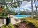 Beautiful swimming pool with mature foliage offering shade, a slide, and abundant lounge seating at 27528 Water Ash Dr, Wesley Chapel, FL 33544