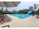 Resort-style swimming pool with lounge chairs and slide, perfect for relaxation and recreation at 27528 Water Ash Dr, Wesley Chapel, FL 33544