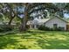 Backyard featuring artificial turf, mature trees, and patio area at 3315 W Hawthorne Rd, Tampa, FL 33611