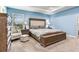 Light-filled bedroom featuring carpet flooring, blue painted walls, a window, and a spacious upholstered king-sized bed at 3503 W Price Ave, Tampa, FL 33611