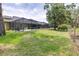 A spacious backyard view with lush green grass and a glimpse of the enclosed pool area at 5931 Cherry Oak Dr, Valrico, FL 33596