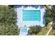 Aerial view of a large rectangular lap pool and a smaller pool, surrounded by a concrete patio and mature landscaping at 5931 Cherry Oak Dr, Valrico, FL 33596