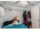 Bedroom featuring a walk-in closet and overhead storage at 8401 Pinewood St, Tampa, FL 33615