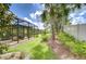 Landscaped backyard featuring mature palm trees, lush green lawn, and enclosed screened porch at 8433 Alberata Vista Dr, Tampa, FL 33647