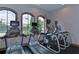 A modern gym features high-end treadmills and elliptical machines with scenic views from the arched windows at 8433 Alberata Vista Dr, Tampa, FL 33647