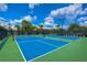 Well-maintained blue and green tennis court with net, fencing, and lush surrounding landscaping at 8433 Alberata Vista Dr, Tampa, FL 33647