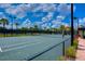 Well-maintained tennis court with net, fencing, and lush surrounding landscaping at 8433 Alberata Vista Dr, Tampa, FL 33647