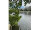 Water view of canal with dock, framed by lush tropical foliage at 850 S Tamiami Trl # 424, Sarasota, FL 34236