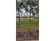 Scenic view of the community pool area surrounded by lush greenery at 8814 Walnut Gable Ct, Riverview, FL 33578