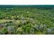 Secluded aerial view of a wooded lot featuring mature trees and a single story home at 9615 Raiden Ln, Riverview, FL 33569