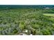 An aerial view of a home surrounded by vast greenery and a wooded landscape, promising a tranquil setting at 9615 Raiden Ln, Riverview, FL 33569