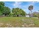 Expansive front yard featuring mature trees, lush grass, and a charming single story home at 9615 Raiden Ln, Riverview, FL 33569