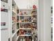 Organized pantry with shelves stocked with various food items and household supplies for easy access at 10669 Cardera Dr, Riverview, FL 33578