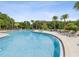 Sparkling community swimming pool with lounge chairs, tables, and mature palm trees on a sunny day at 10669 Cardera Dr, Riverview, FL 33578