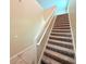 Carpeted staircase with a white railing at 13118 Zolo Springs Cir, Riverview, FL 33579