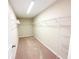 Large walk-in closet featuring neutral walls, carpet, and wire shelving at 13118 Zolo Springs Cir, Riverview, FL 33579