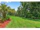Expansive backyard featuring lush green grass and mature trees for privacy at 17203 Talence Ct, Tampa, FL 33647