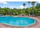 An inviting community pool features clear water, lush landscaping, and poolside seating at 17203 Talence Ct, Tampa, FL 33647
