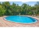 A clean community pool is surrounded by greenery, lounge chairs, and shade umbrellas at 17203 Talence Ct, Tampa, FL 33647