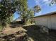 View of the open backyard with foliage surrounding the perimeter of the property at 1835 15Th S Ave, St Petersburg, FL 33712
