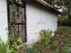 Overgrown backyard, showing the home's rear exterior and potential outdoor space at 1835 15Th S Ave, St Petersburg, FL 33712