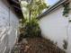 View of the backyard with foliage growing on and around the property structures at 1835 15Th S Ave, St Petersburg, FL 33712