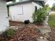 Backyard concrete path and overgrown plant life featuring a concrete structure with a discarded tires at 1835 15Th S Ave, St Petersburg, FL 33712