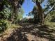 View of the yard, with overgrown foliage and debris surrounding the property's perimeter at 1835 15Th S Ave, St Petersburg, FL 33712