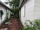Exterior side of the house with overgrown plants and discarded garbage at 1835 15Th S Ave, St Petersburg, FL 33712