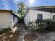View of the side of the home, bushes and trees, along the concrete walkway at 1835 15Th S Ave, St Petersburg, FL 33712