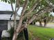 Exterior view of the side of the house with a tree in the foreground at 1835 15Th S Ave, St Petersburg, FL 33712