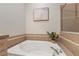 Relaxing bathroom showing a soaking tub with tile surround, plants, and decor at 19204 Weymouth Dr, Land O Lakes, FL 34638