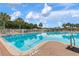 Large community pool with marked lanes and clear water, perfect for swimming and recreation at 19204 Weymouth Dr, Land O Lakes, FL 34638